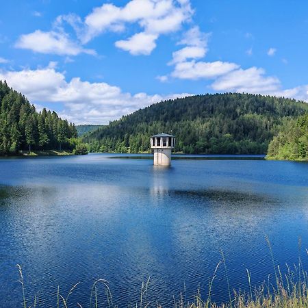 Gasthof "Zum Steinwald" Loßburg Eksteriør billede