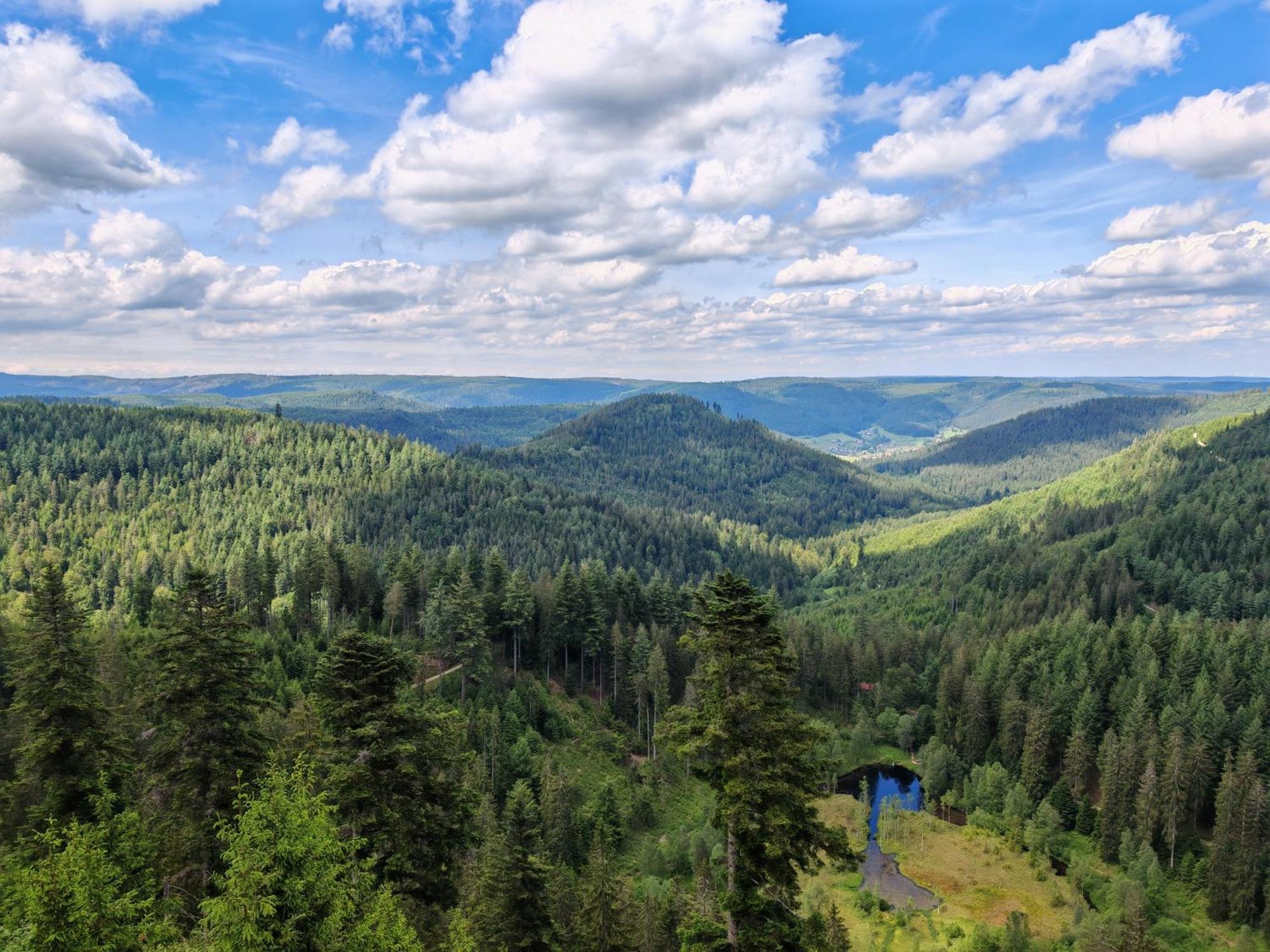 Gasthof "Zum Steinwald" Loßburg Eksteriør billede