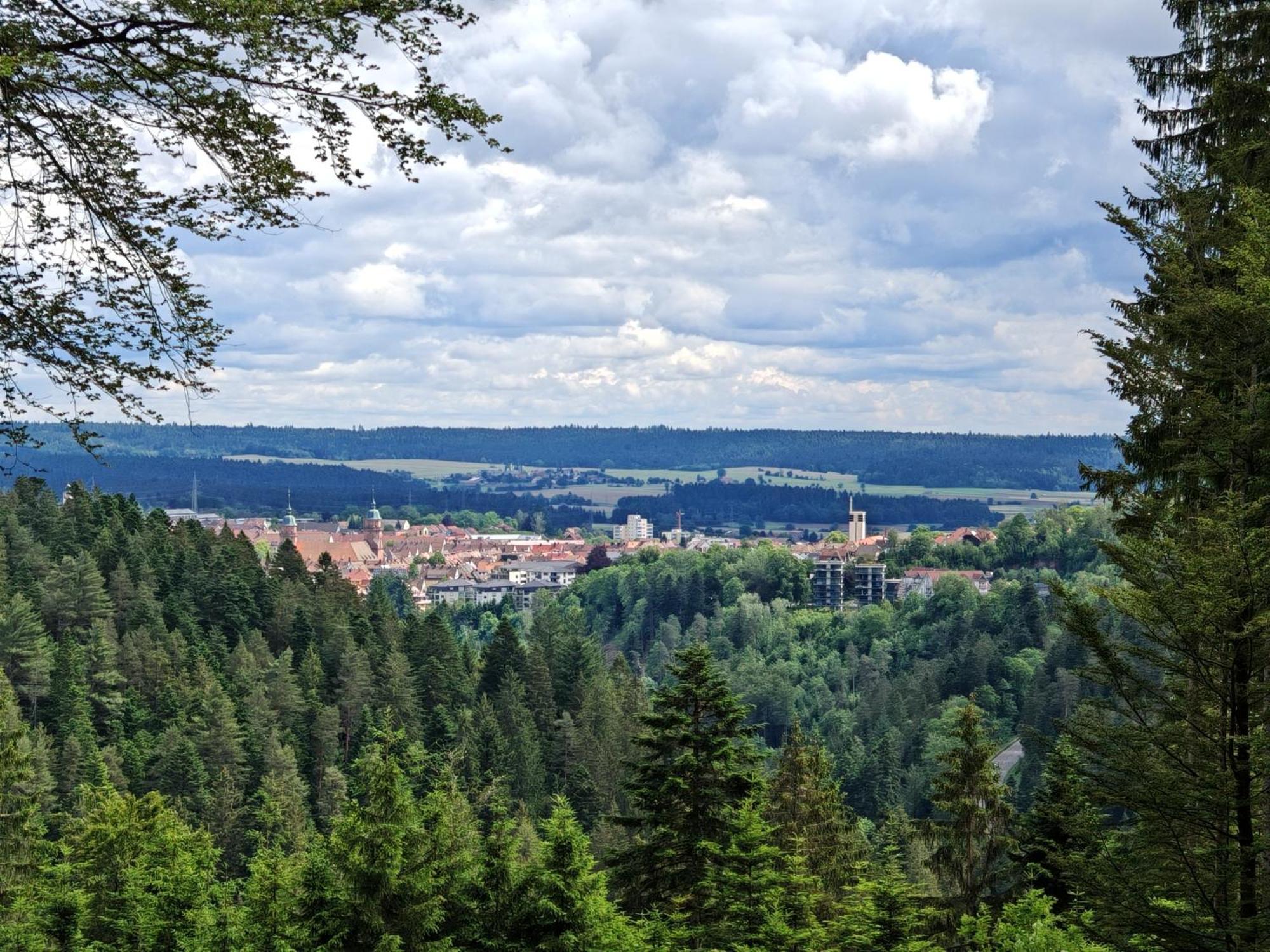 Gasthof "Zum Steinwald" Loßburg Eksteriør billede