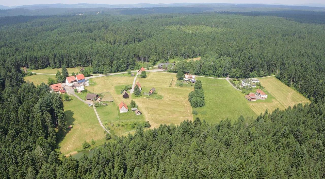 Gasthof "Zum Steinwald" Loßburg Eksteriør billede